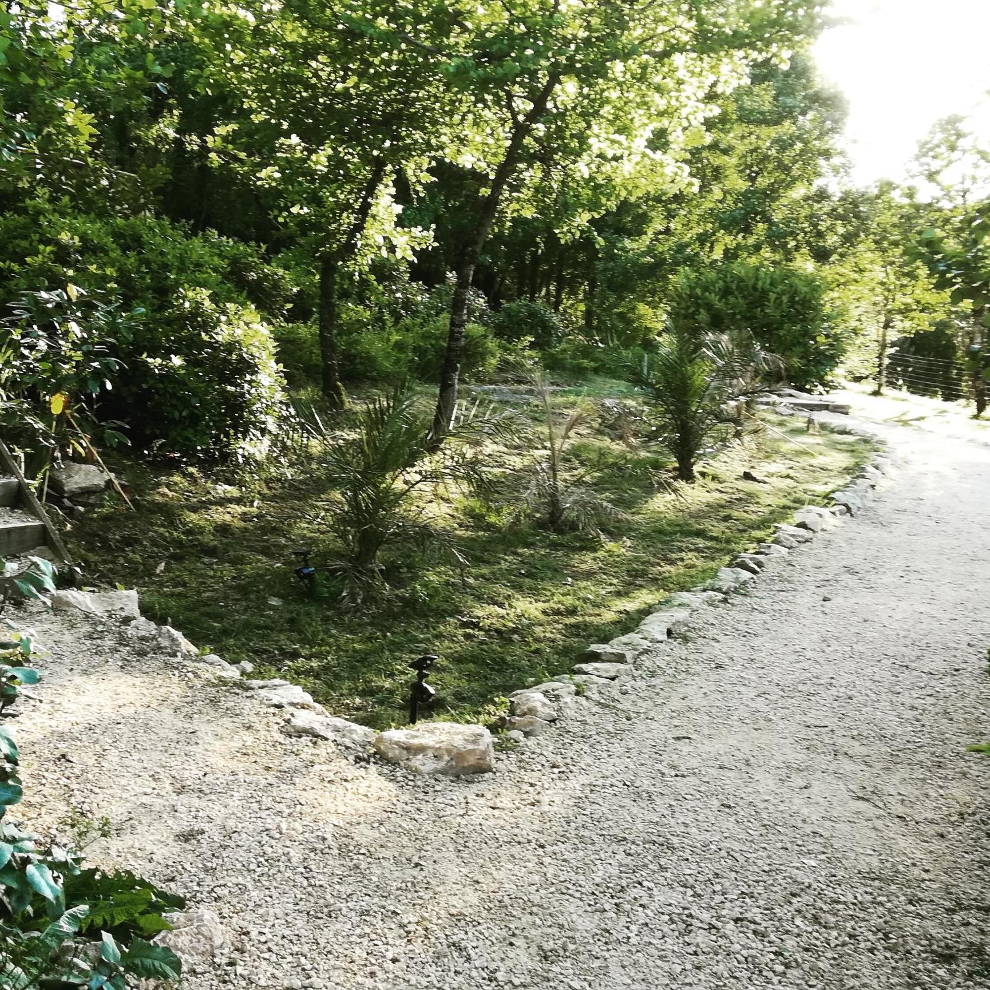 Saint-Cybranet La Source B&B 외부 사진